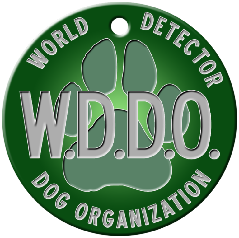 What To Do When You Find A Single Bed Bug In Your Home NYC Bed Bug